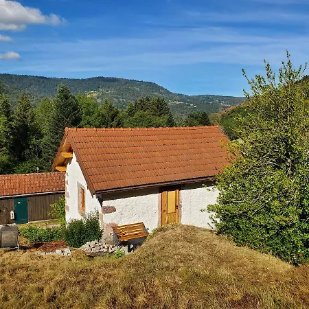 Le Vieux Houx *